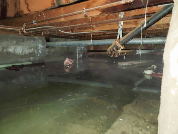 Best Local water damage restoration  in Fort Washington, PA
