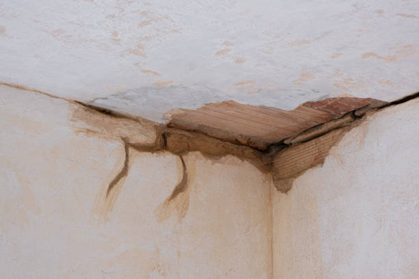Best Carpet water damage restoration  in Fort Washington, PA