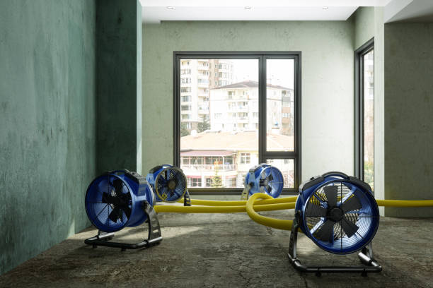 Best 24-hour water damage restoration  in Fort Washington, PA
